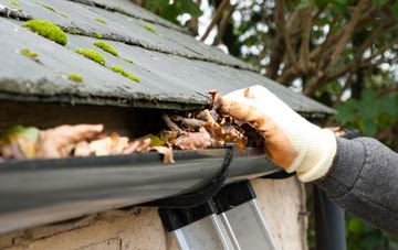 gutter cleaning Shapwick