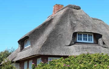 thatch roofing Shapwick
